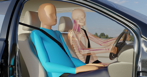 Rendered image of accurate modeling of human occupants, vehicle interiors and restraint systems using numerical simulation